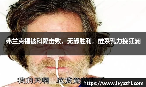 米乐m6官网