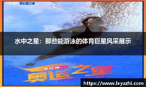 米乐m6