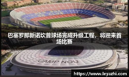 米乐m6