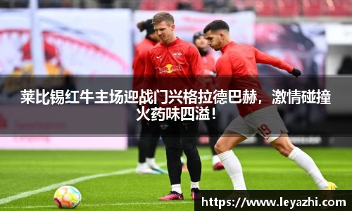 米乐m6
