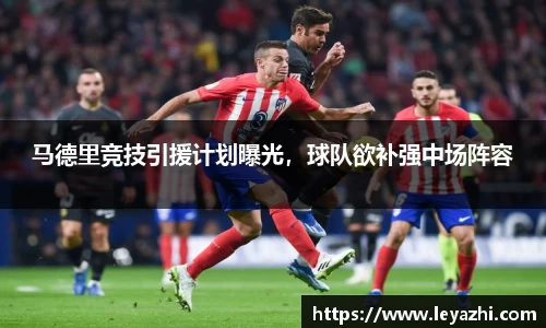 米乐m6官网