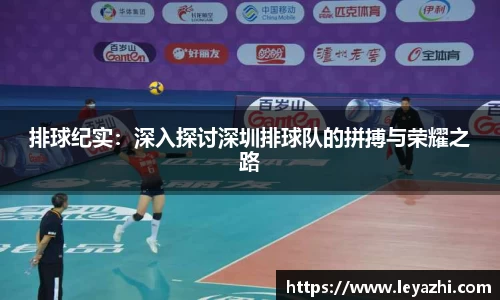 米乐m6官网登录入口