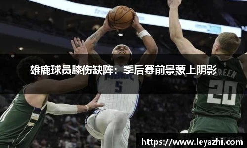 米乐m6官网登录入口