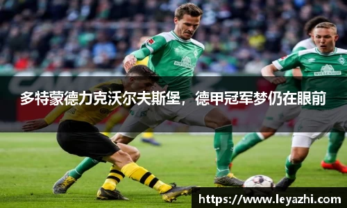 米乐m6官网