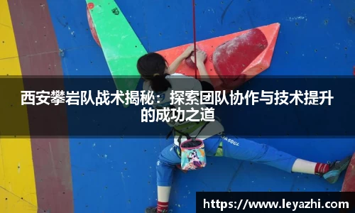 米乐m6