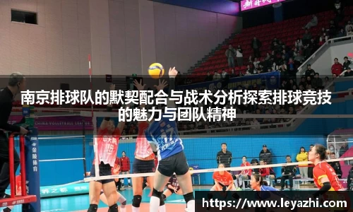 米乐m6官网