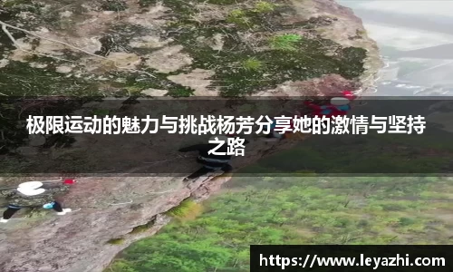 米乐m6官网