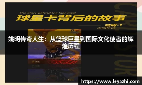 米乐m6官网