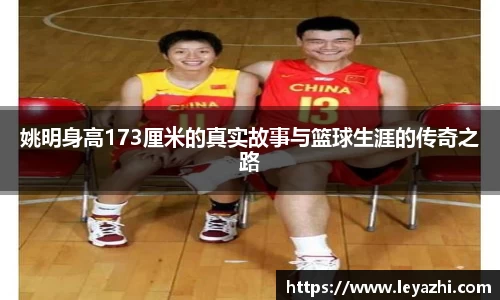 米乐m6官网登录入口