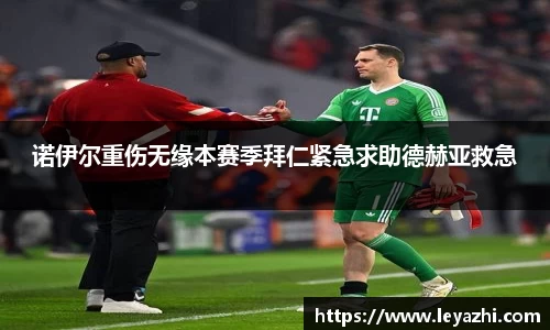 米乐m6