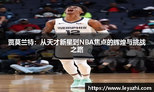 米乐m6官网登录入口