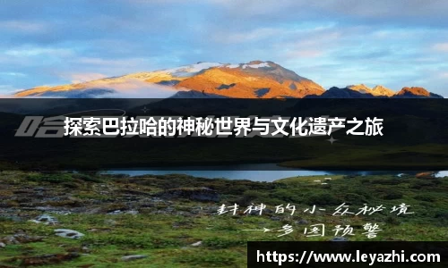 OB电竞中国